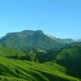 kerala-hill-station-thumbnail